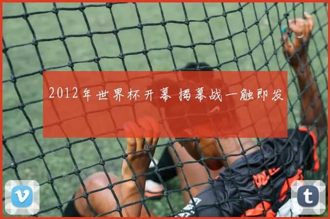 2012年世界杯开幕 揭幕战一触即发
