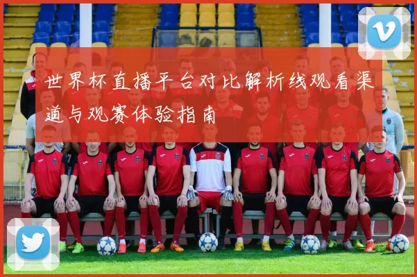 世界杯直播平台对比解析线观看渠道与观赛体验指南