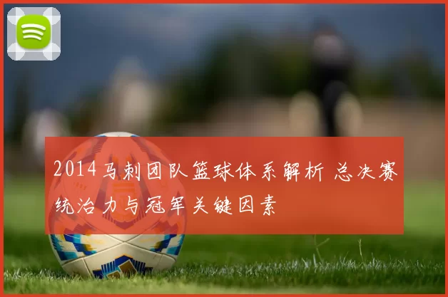 2014马刺团队篮球体系解析 总决赛统治力与冠军关键因素