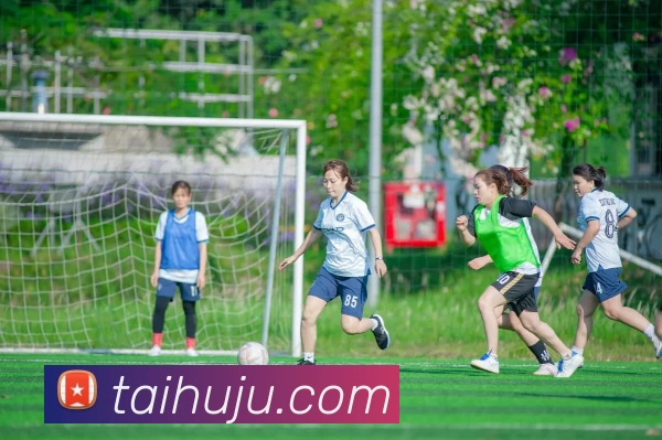 星空入口网页版登录APP 封面图